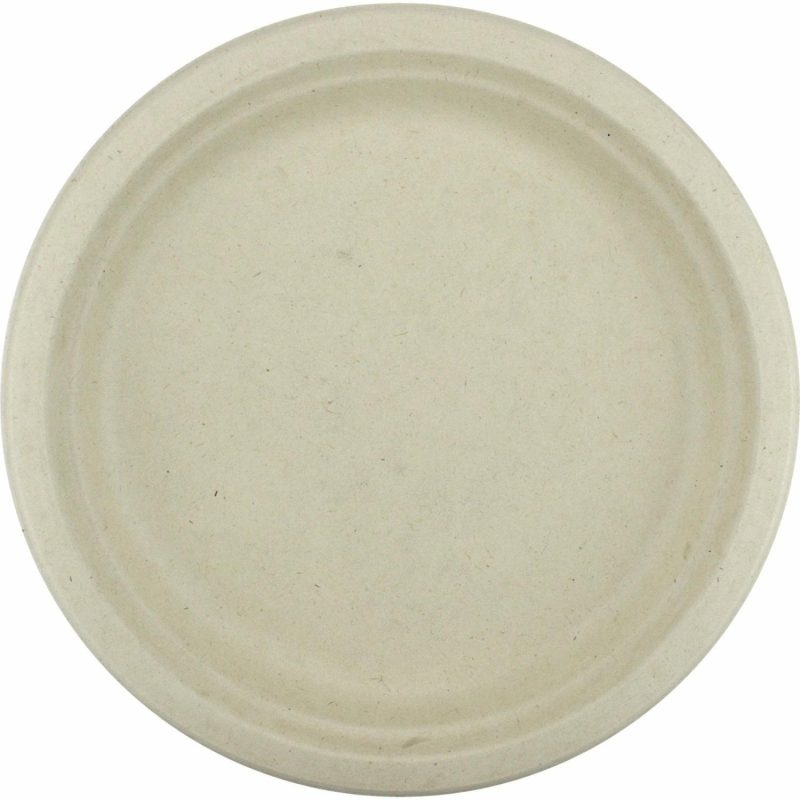 Eco-Friendly Partyware | Eco Biodegradable Large Plates (Pack Of 30) Decor Eco-Friendly Partyware