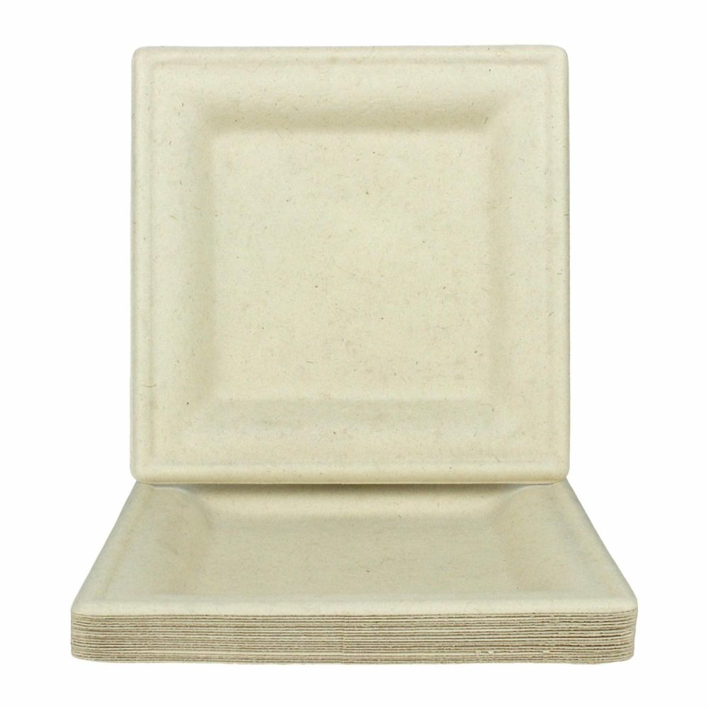 Eco-Friendly Partyware | Eco Biodegradable Small Square Plates (Pack Of 20) Decor Eco-Friendly Partyware