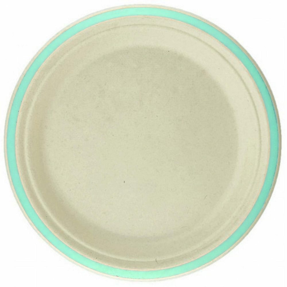 Eco-Friendly Partyware | Mint Rim Sugar Cane Large Plates (Pack Of 10) Decor Eco-Friendly Partyware