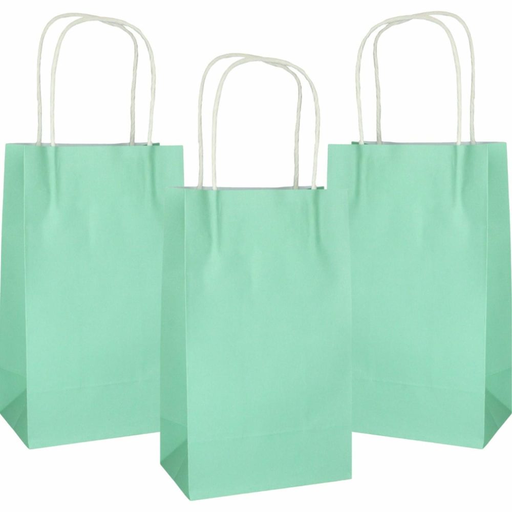 Gift Bags | Pastel Mint Green Paper Gift Bags 21.5Cm (Pack Of 5) Gift Bags Gift Bags