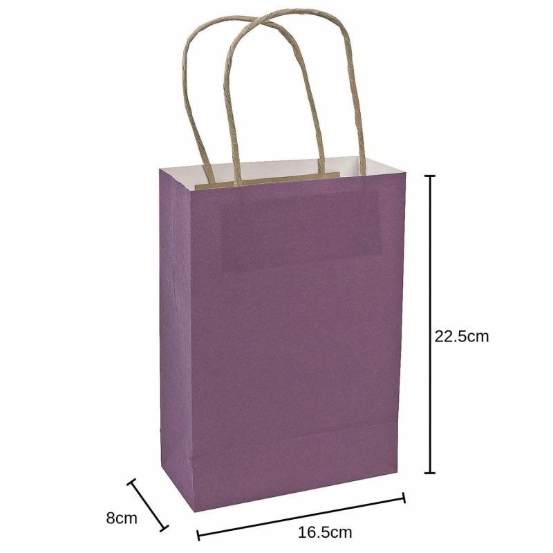 Gift Bags | Purple Paper Gift Bags (Pack Of 12) Gift Bags Gift Bags