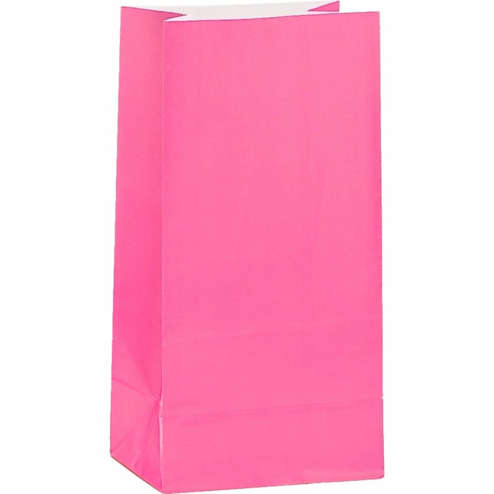 Party Bags | Hot Pink Paper Party Bags (Pack Of 12) Gifts Party Bags