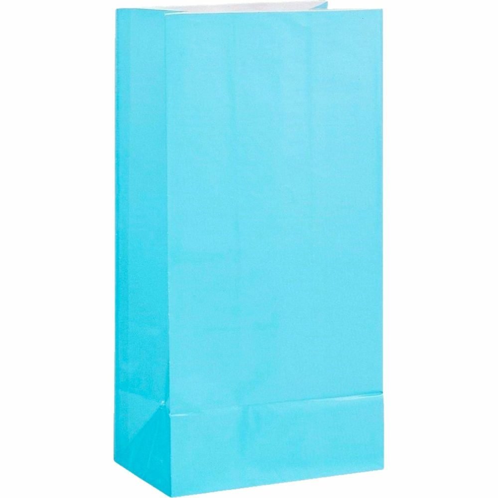 Party Bags | Light Blue Paper Party Bags (Pack Of 12) Gifts Party Bags